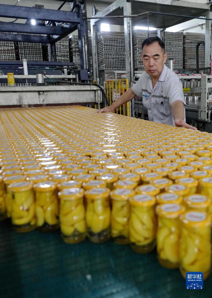 金沙免费送68彩金